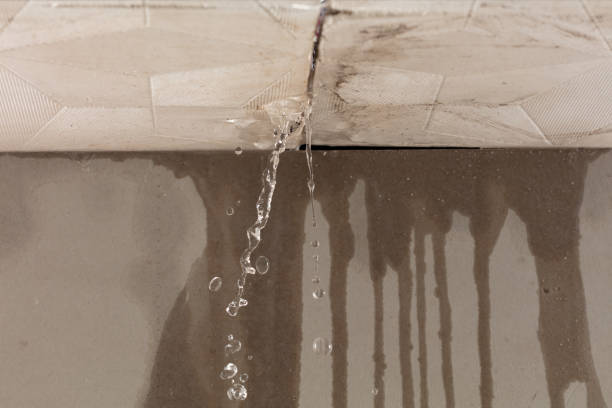 Professional Water Damage Inspection technician working in Del Valle, TX